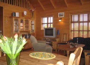 Nýjar myndir frá Vísi í Brekkuskógi