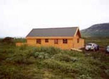 Fyrstu myndir frá Vísi í Brekkuskógi